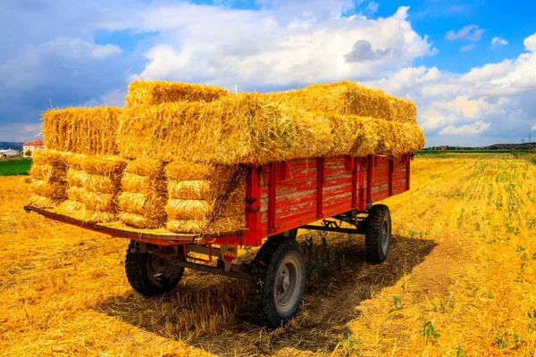 Buğday Tarlasında Saman Balyaları Olan Saman Vagonu — Stok fotoğraf