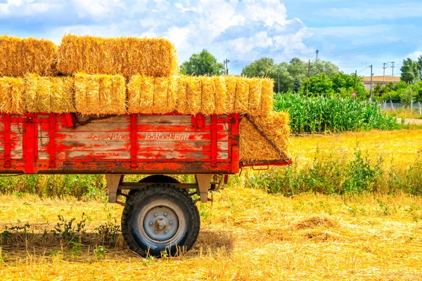 Hårvagn Med Höbalar Vetefält — Stockfoto