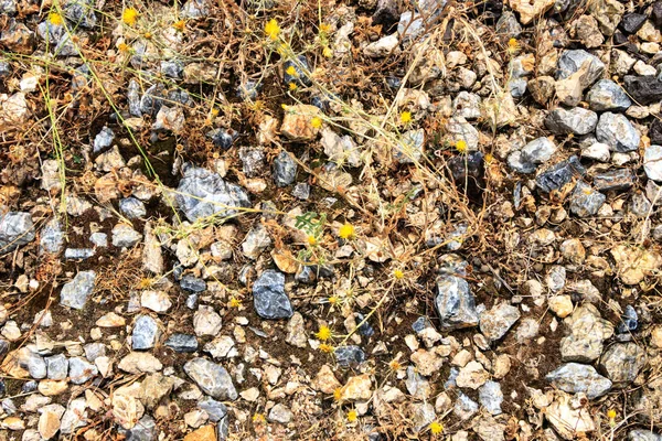 Гравийные Камни Маленькие Большие — стоковое фото
