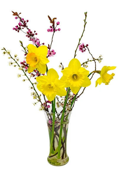 Strauß Gelber Narzissen Osterglocken Mit Mirabellblüten Einer Vase Auf Weiß — Stockfoto