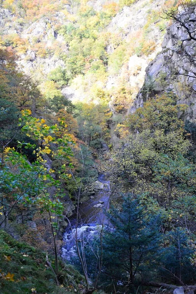 Herbst Bodetal Harz Sachsen Anhalt Deutschland — Stockfoto