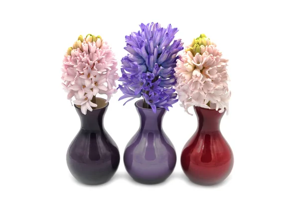 花瓶のヒヤシンス白い背景の装飾花 — ストック写真