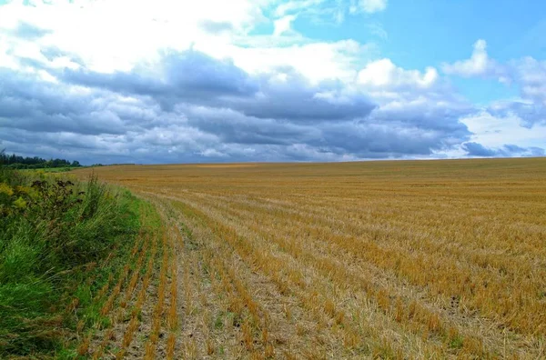 Поле Спускання Восени Росії Тула — стокове фото