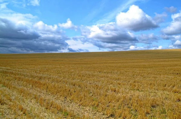 Campo Inclinado Otoño Rusia Región Tula — Foto de Stock