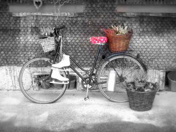 Bisikletimi Seviyorum — Stok fotoğraf