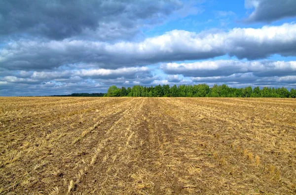 Campo Inclinado Otoño Rusia Región Tula — Foto de Stock