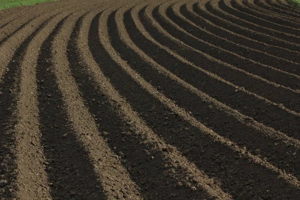 Indústrias Agrícolas Alimentares — Fotografia de Stock