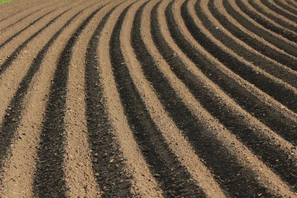 Indústrias Agrícolas Alimentares — Fotografia de Stock