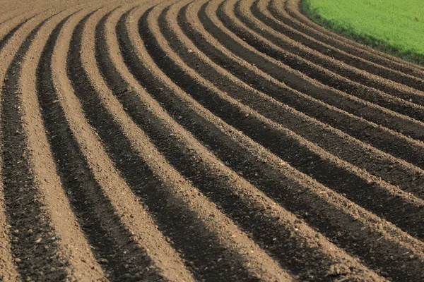 Indústrias Agrícolas Alimentares — Fotografia de Stock