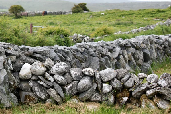 Krajina Irsku — Stock fotografie
