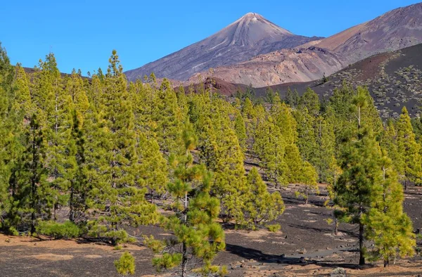 西班牙加那利群岛Tenerife的Teide山 — 图库照片