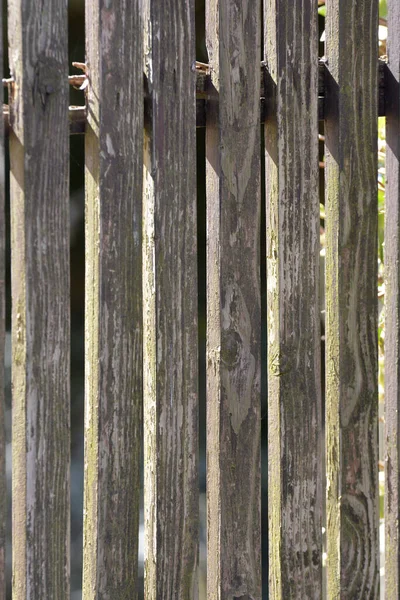 Kerítés Fából — Stock Fotó