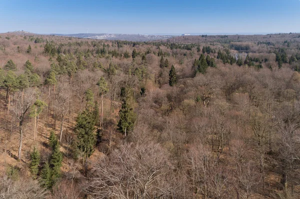 Vue Aérienne Dans Forêt Mixte Début Printemps — Photo