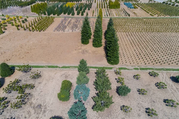 aerial view of plants and trees of a nursery