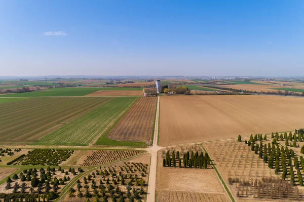 Luftaufnahme Über Eine Baumpflanzung Auf Feldern Und Einem Dorf Baden — Stockfoto