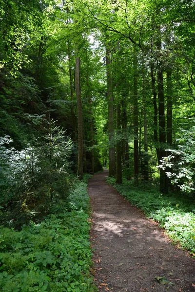 Trilha Caminhada Pesenbach — Fotografia de Stock