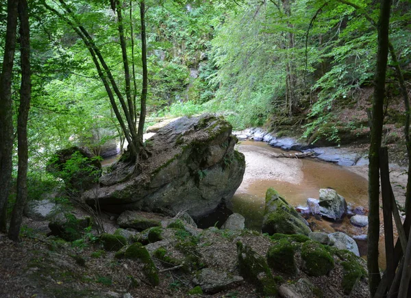 Bella Vista Della Scena Della Natura — Foto Stock