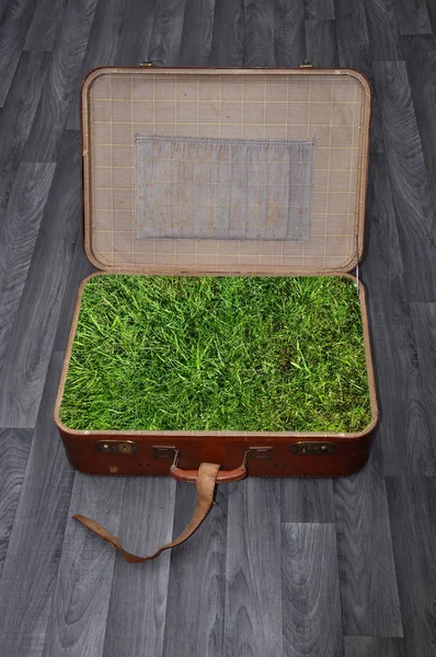 Rasen Koffer — Stockfoto