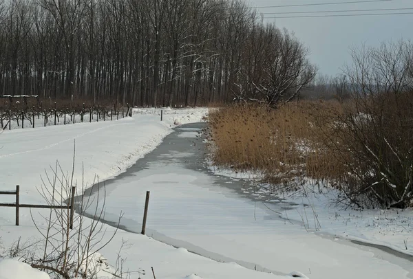 Winter Landscape Frozen Canal Snow All — Stock Photo, Image