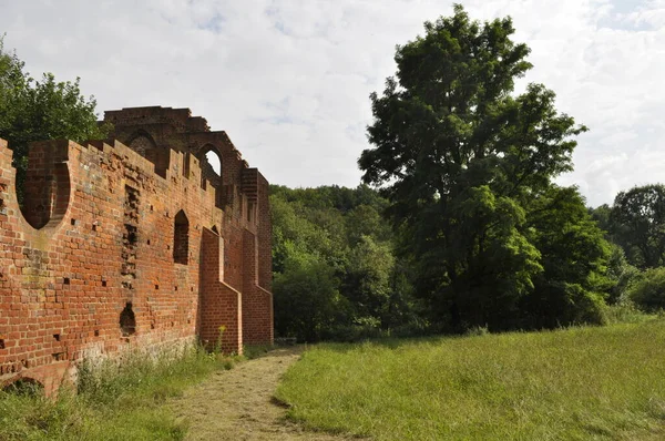 Ruines Monastère Boitzenburg Dans Vorpommern Mecklembourg Avec Des Arbres — Photo