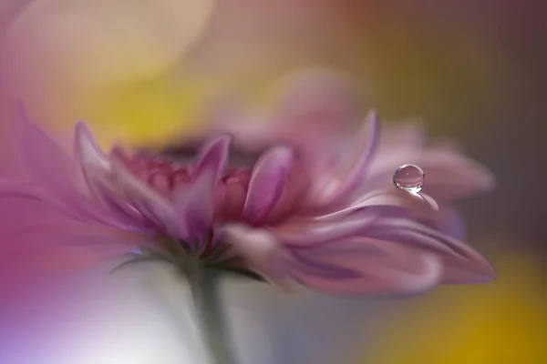 Doce Imagem Artística Romântica Borrão Fundo Pastel Macio Reflexão Flor — Fotografia de Stock