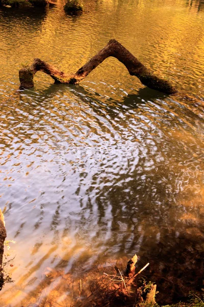 Incroyable Cascades Kursunlu Turquie — Photo