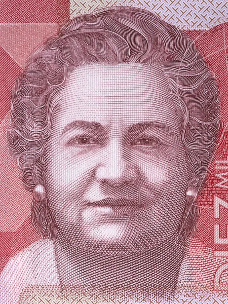 Virginia Gutierrez Pineda Portrait Colombia Money — 스톡 사진