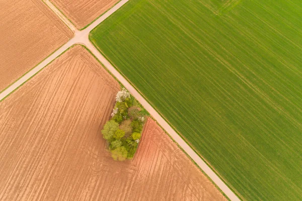 Vista Aérea Seto Protección Aves Entre Los Campos — Foto de Stock