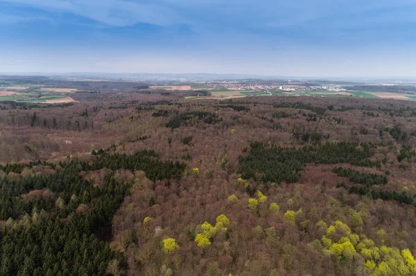 Вид Высоты Птичьего Полета Смешанном Лесу Начале Весны — стоковое фото