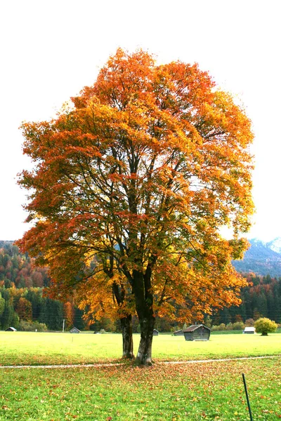 Almberge Schöne Berge — Stockfoto