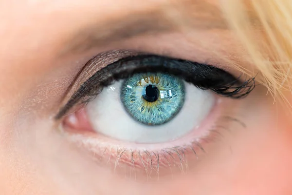 Schilderachtige Kijk Het Begrip Gezondheidszorg — Stockfoto