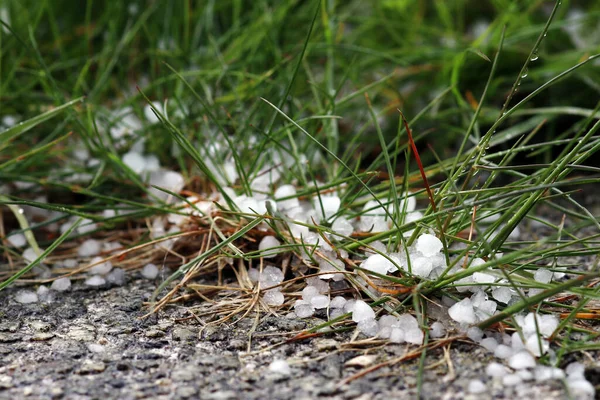 Trovoadas Trovoadas Com Luva Granizo Pesados Granizo Chão — Fotografia de Stock