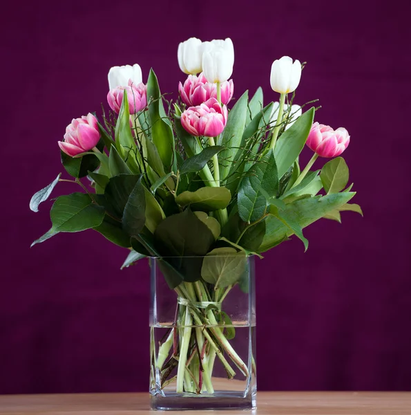 Bouquet White Pink Tulips Front Wine Red Background — Stock Photo, Image