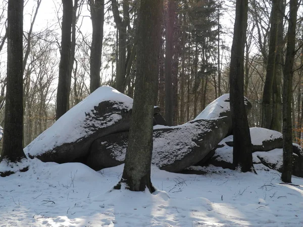 フェレンマイヤーライヘンバッハオーデンヴァルト岩自然の不思議雪冬季節岩山ラウタータール石英閃緑岩ウォルラック気象地質自然景観 — ストック写真