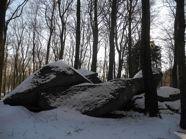 Felsenmeer Reichenbach Odenwald Rock Rock Natural Wonder Snow Winter Season — 图库照片