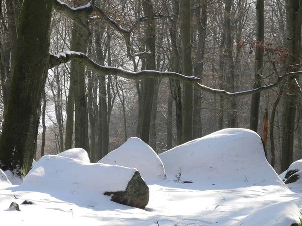 Felsenmeer Reichenbach Odenwald Rocha Rocha Maravilha Natural Neve Inverno Estação — Fotografia de Stock