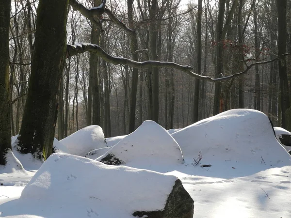 Felsenmeer Reichenbach Odenwald Felsen Felsen Naturwunder Schnee Winter Jahreszeit Felsenberg — Stockfoto