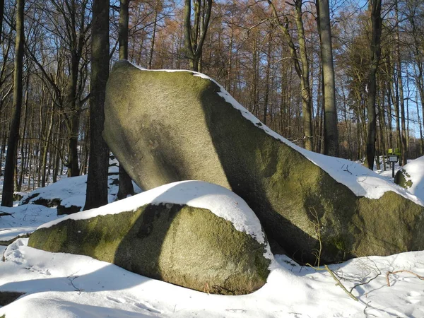 Felsenmeer Reichenbach Odenwald Rock Rock Natural Wonder Snow Winter Season — стоковое фото