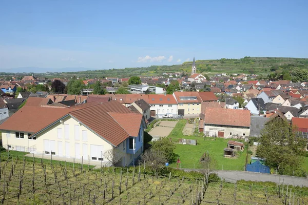 Ihringen Kaiserstuhl Baden Wuerttemberg Γερμανία Τόπος Πόλη Πόλη Αμπελουργία Αμπελουργική — Φωτογραφία Αρχείου