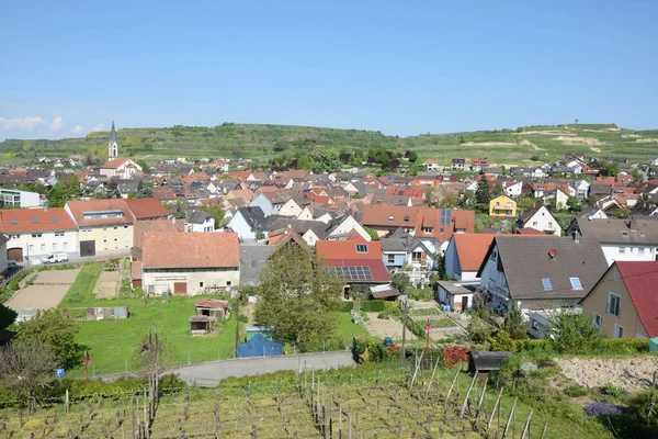 Ihringen Kaiserstuhl Baden Wuerttemberg Németország Hely Város Város Szőlőtermesztés Borvidék — Stock Fotó