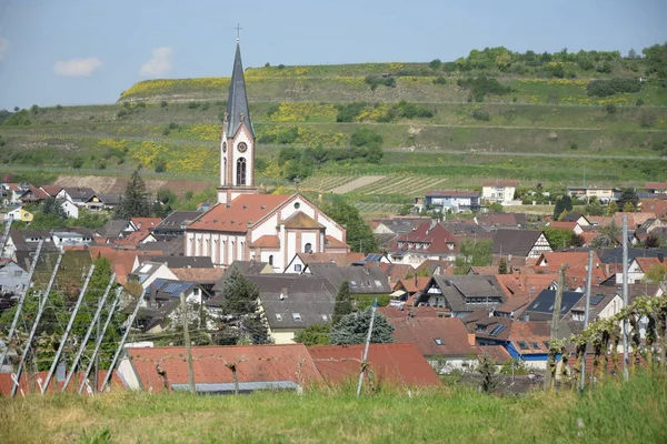 Ihringen Kaiserstuhl Baden Wuerttemberg Németország Hely Város Város Szőlőtermesztés Borvidék — Stock Fotó