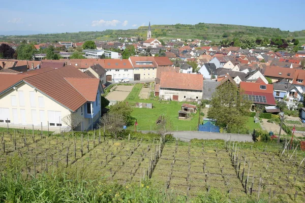 Ihringen Kaiserstuhl Baden Wuerttemberg Allemagne Lieu Ville Ville Viticulture Région — Photo