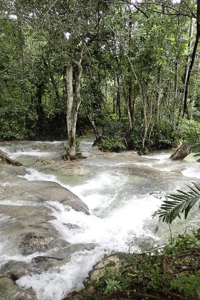 Jamaica Duna Rio Cai Rios Ocho — Fotografia de Stock