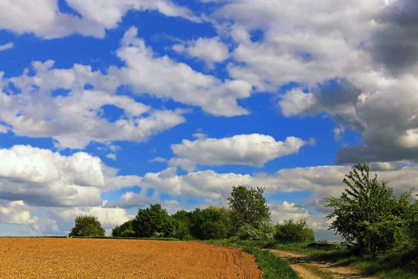 Jordbrukslandskap Åkerbruk — Stockfoto