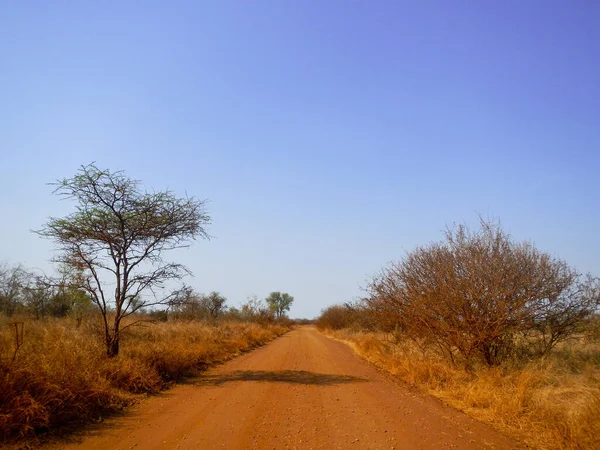 Camino África Salvaje Sendero Pista Polvo Rojo Safari — Foto de Stock