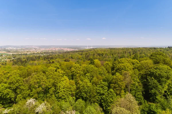 Воздушный Вид Лес Filderebene — стоковое фото