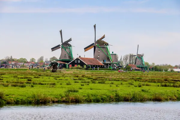 Wiatraki Zaanse Schans Holandii Europie — Zdjęcie stockowe