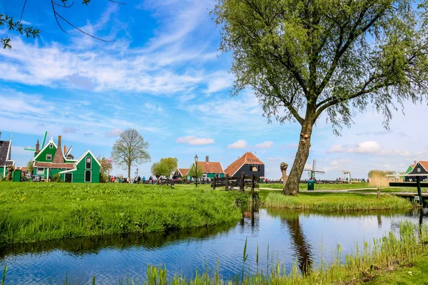 Ανεμόμυλοι Στο Zaanse Schans Στις Κάτω Χώρες Της Ευρώπης — Φωτογραφία Αρχείου