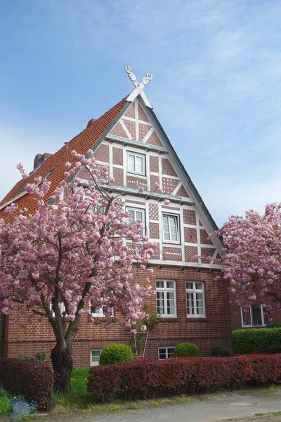 Traditionele Vakwerkboerderij Het Oude Land — Stockfoto