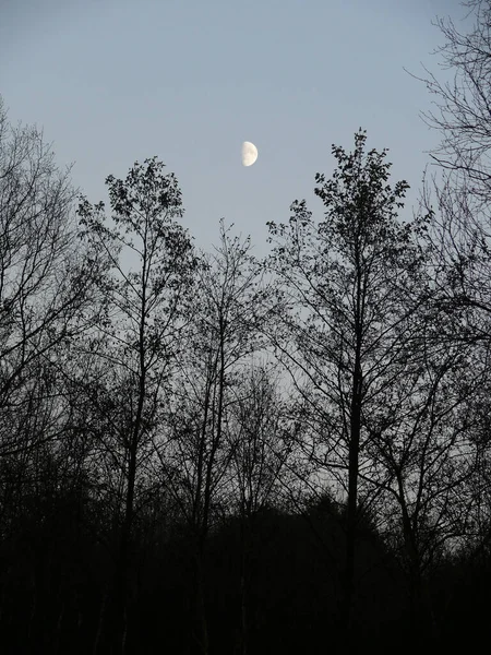 Phase Lune Dans Ciel Satellite Naturel Corps Astronomique — Photo